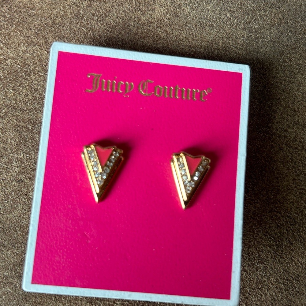 Juicy Couture Pink and Gold Geometric Earrings